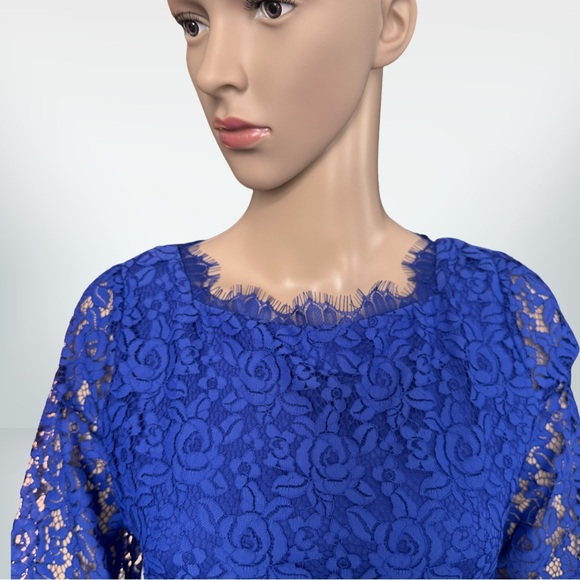 Diane Von Furstenberg Royal Blue Lace Mini Dress 6 - Picture 3 of 10